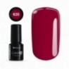 Color IT Premium 620