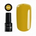 Color IT Premium 800