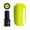 Color IT Premium 810
