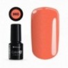 Color IT Premium 860