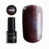 COLOR IT PREMIUM CAT EYE 2690