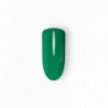 VERDE 6020