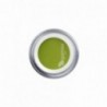 MENTA
