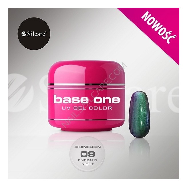 BASE ONE CHAMELEON 9