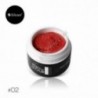 HYBIRD GEL THE GARDEN OF COLOUR 4D
