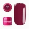 Base One Perfumelle 17