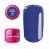 Base One Perfumelle 10