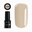 Color IT Premium 1220