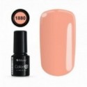 COLOR IT PREMIUM 1880