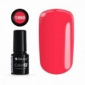 COLOR IT PREMIUM 1950