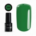 Color IT Premium 200
