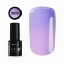 COLOR IT PREMIUM 2630