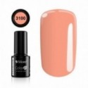 Color IT Premium 3100