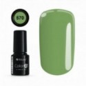 Color IT Premium 570