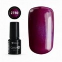 COLOR IT PREMIUM CAT EYE 2750