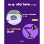 OFERTE 31