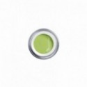 PISTACCHIO