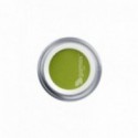 MENTA