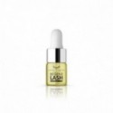 Regenelash Oil