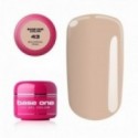 Base One Color Gel 43