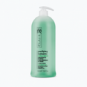 SEBUM-BALANCING CONDITIONER FOR OILY HAIR 1000ml
