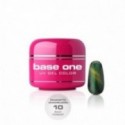 Base One Magnetic Chameleon 10